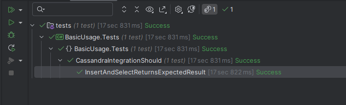 Rider Tests Output